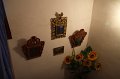 IMG_1901