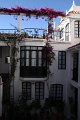 IMG_2037