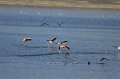IMG_0750