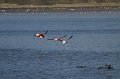 IMG_0755