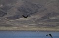 IMG_0760