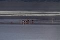 IMG_1397