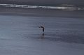 IMG_1407