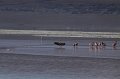 IMG_1411