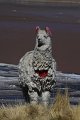 IMG_1431