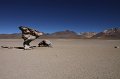 IMG_1465