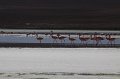 IMG_1564