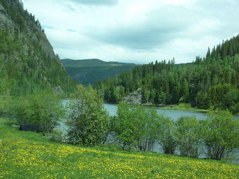 P1000023.JPG