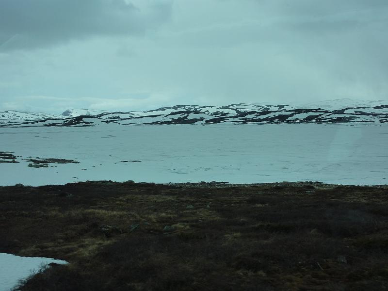 P1000055.JPG