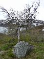 P1000053