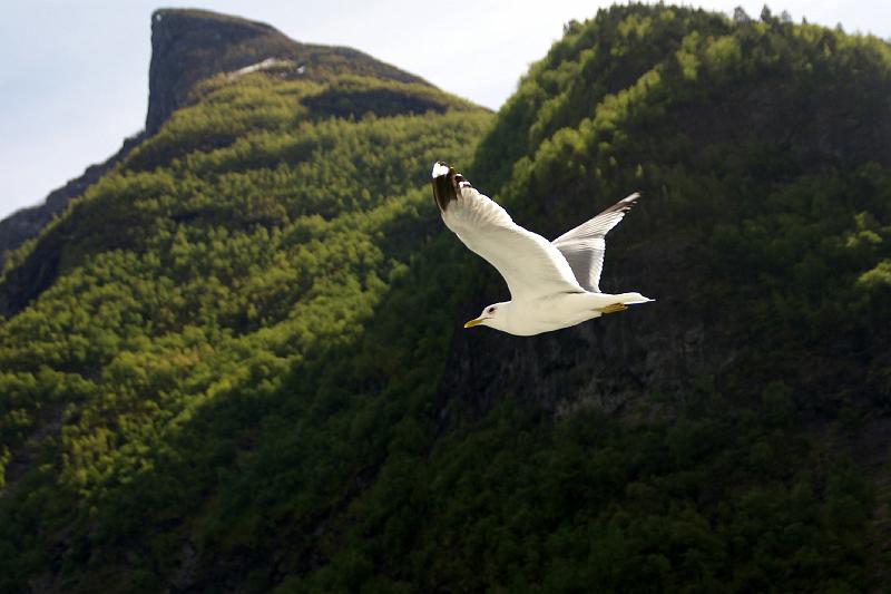 Norvege_130.JPG