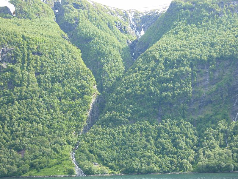 P1000331.JPG