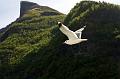 Norvege_130