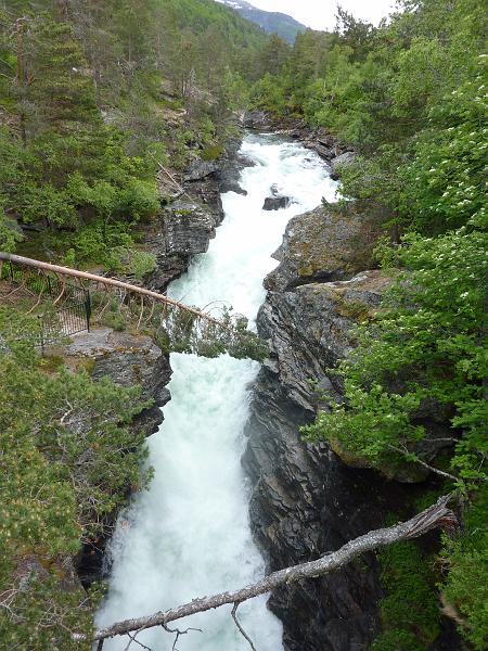 P1000445.JPG