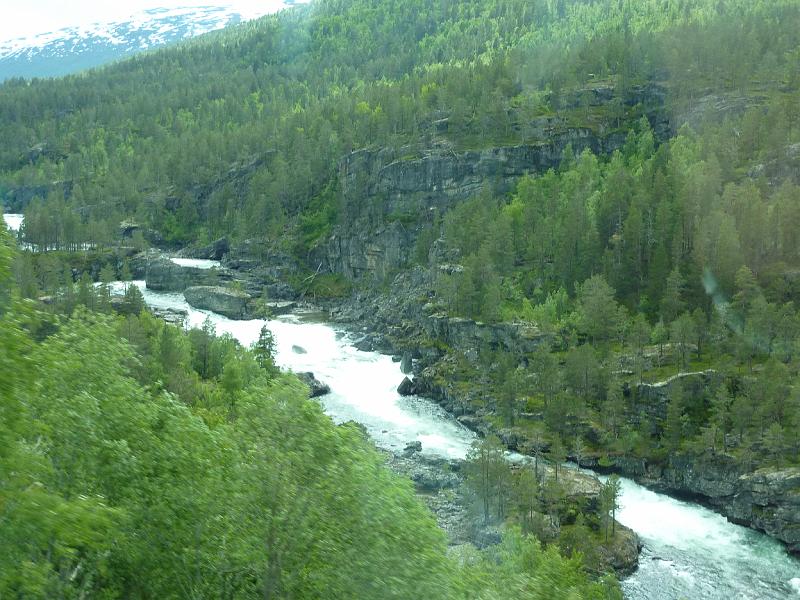 P1000453.JPG